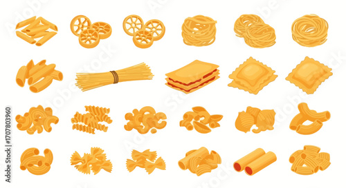 An assortment of different types of uncooked pasta, including penne, rotelle, spaghetti, lasagna sheets, ravioli, farfalle, and cannelloni.