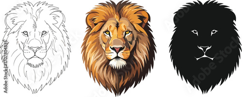 Lion head illustration in line art, color, and silhouette styles