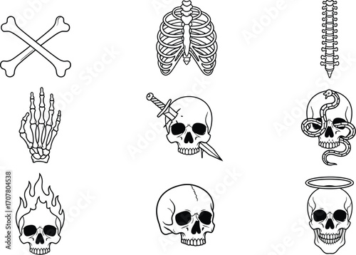 Skull bones skeleton vector illustration design elements set