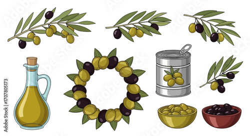 Illustration featuring olive branches with green and black olives, a wreath, oil bottle, canned olives, and bowls of olives.