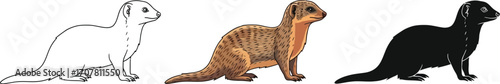 Mongoose in outline, color, and silhouette styles small carnivore illustration