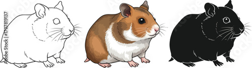 Three hamsters in outline, color, and silhouette vector illustration
