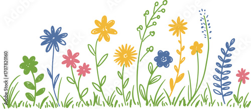 Colorful hand drawn wildflowers with green stems on transparent background