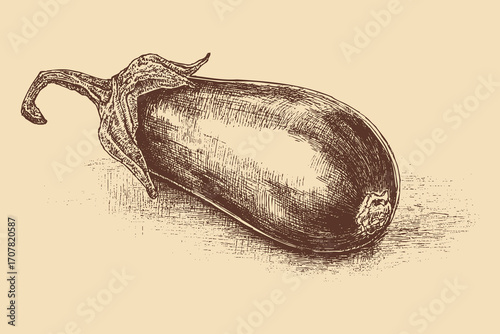 Eggplant illustration in a vintage style. This vector illustration can be used in any size you like for advertising, logos, and other work.