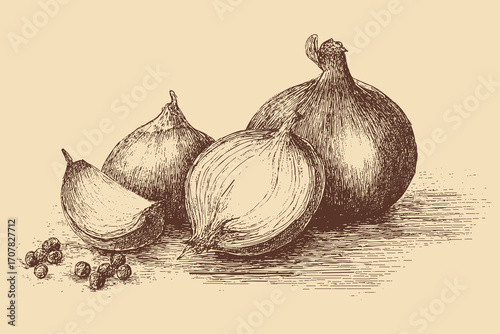 Onion illustration in a vintage style. This vector illustration can be used in any size you like for advertising, logos, and other work.