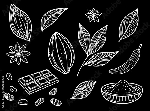 Cocoa and Chocolate Sketch – Hand Drawn Cacao Set on Black Background Vector Illustration. Elegant line art, perfect for packaging and artisanal branding. Chalk drawing on blackboard, chalkboard art