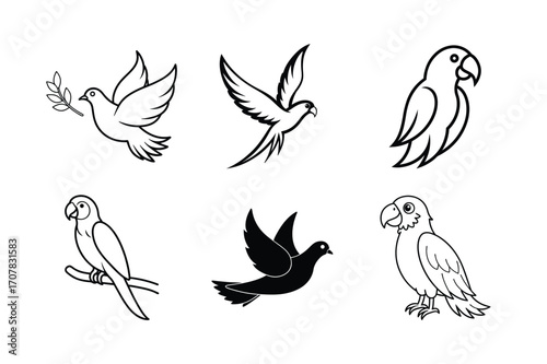 set of vector parrot birds