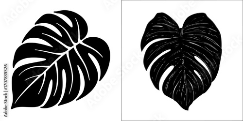 The modern style features a tropical green monstera leaf on a white background