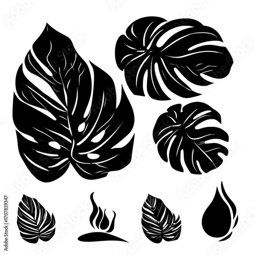 The design includes a tropic jungle plant, an exotic philodendron leaf, and black and golden paint smears, all set against a dark background with tropical black and gold monstera leaves