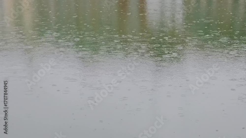 Raindrops falling on calm water surface