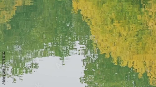 Autumn trees reflection on water surface