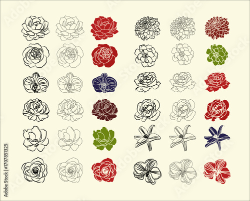 Flowers Collection - Line Flowers - Vector