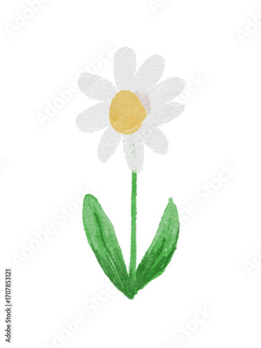 Childlike Watercolor Daisy with Textured Petals and Stem