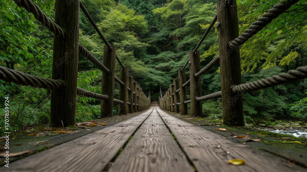 Fototapeta premium 深い森の吊り橋を正面構図で丁寧に撮影
