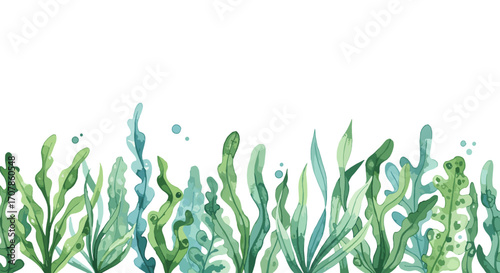 Watercolor vector illustration bottom border of seaweed on white background