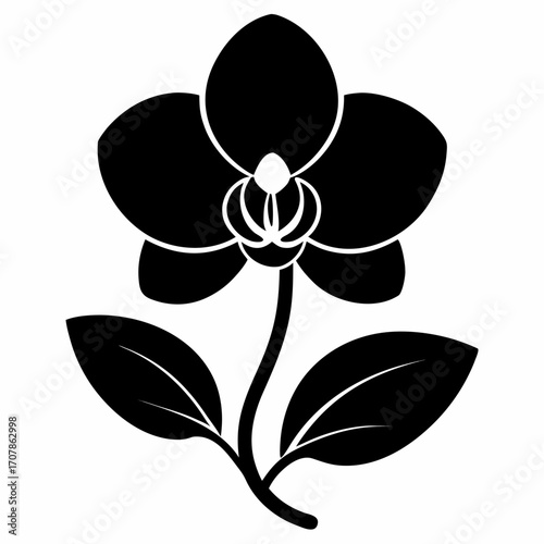 vector illustration of a black silhouette orchid  flower