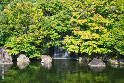 青々とした木々に囲まれ、静かに流れ落ちる滝の風景