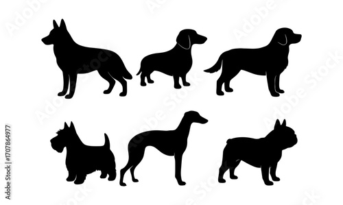 Dog breed silhouettes collection for design and decoration projects