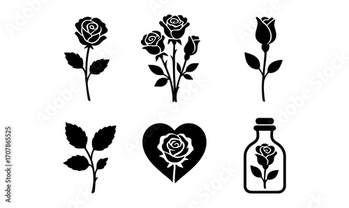 Scientific rose research elements for botanical design and aromatherapy concepts