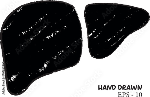 Hand drawn human liver anatomy illustration medical science concept vector Handmade Hand Drawn