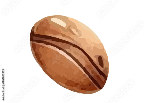 Coffee beans, watercolor style, vector, hand drawn.