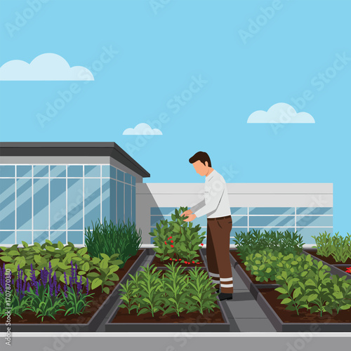 Man tending to a rooftop garden with lush plants and a modern building.