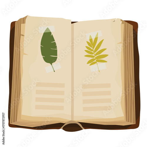 Open book with dried flowers and leaves, herbarium