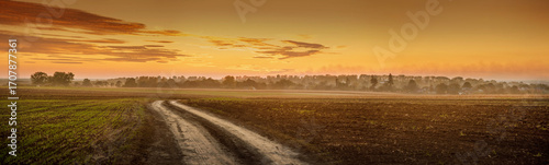 the road at field to the horizon where the sun sets behind the trees in the mist