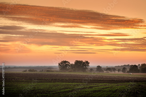 Autumn field, trees in fog on the horizon against a sunset sky