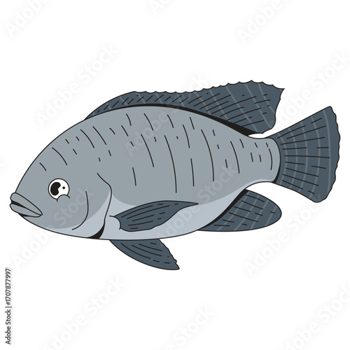Tilapia fish animal cartoon icon illustration