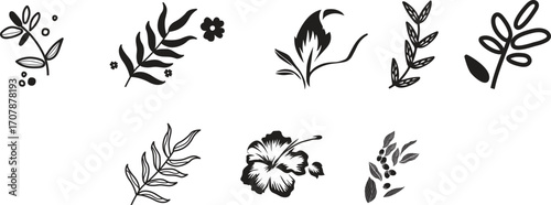 Flowers and Leaves Design Elements