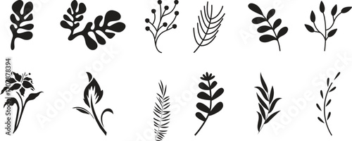 Flowers and Leaves Design Elements