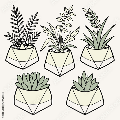 Collection of five stylized potted plants in geometric planters with a minimalist line art design and a pale green and black color palette