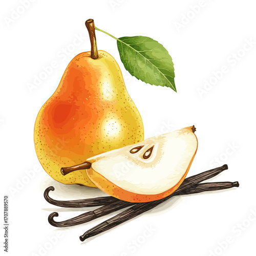 Watercolor vector illustration whole pear, half pear and vanilla sticks on white background