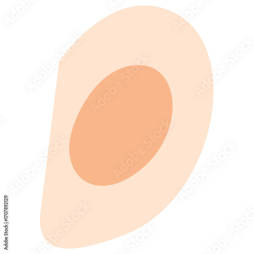 Human ear in soft skin tone, anatomical auditory organ illustration perfect for medical or educational content.


