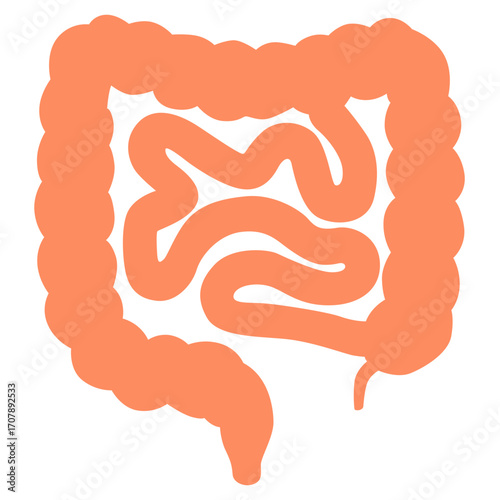Orange intestines with coiled structure, digestive system illustration perfect for medical or biology education.