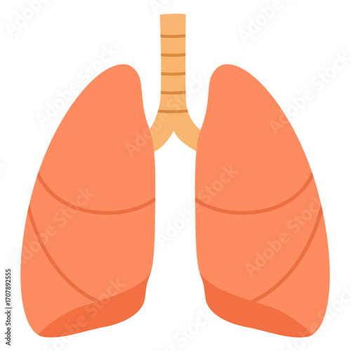 Side view of human lungs with trachea, respiratory organ illustration perfect for medical or biology education.
