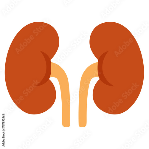 Red kidneys with ureters, urinary organ illustration ideal for medical or biology education content.
