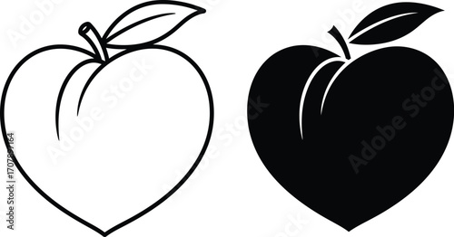 Peach vector illustration fruit drawing outline black white