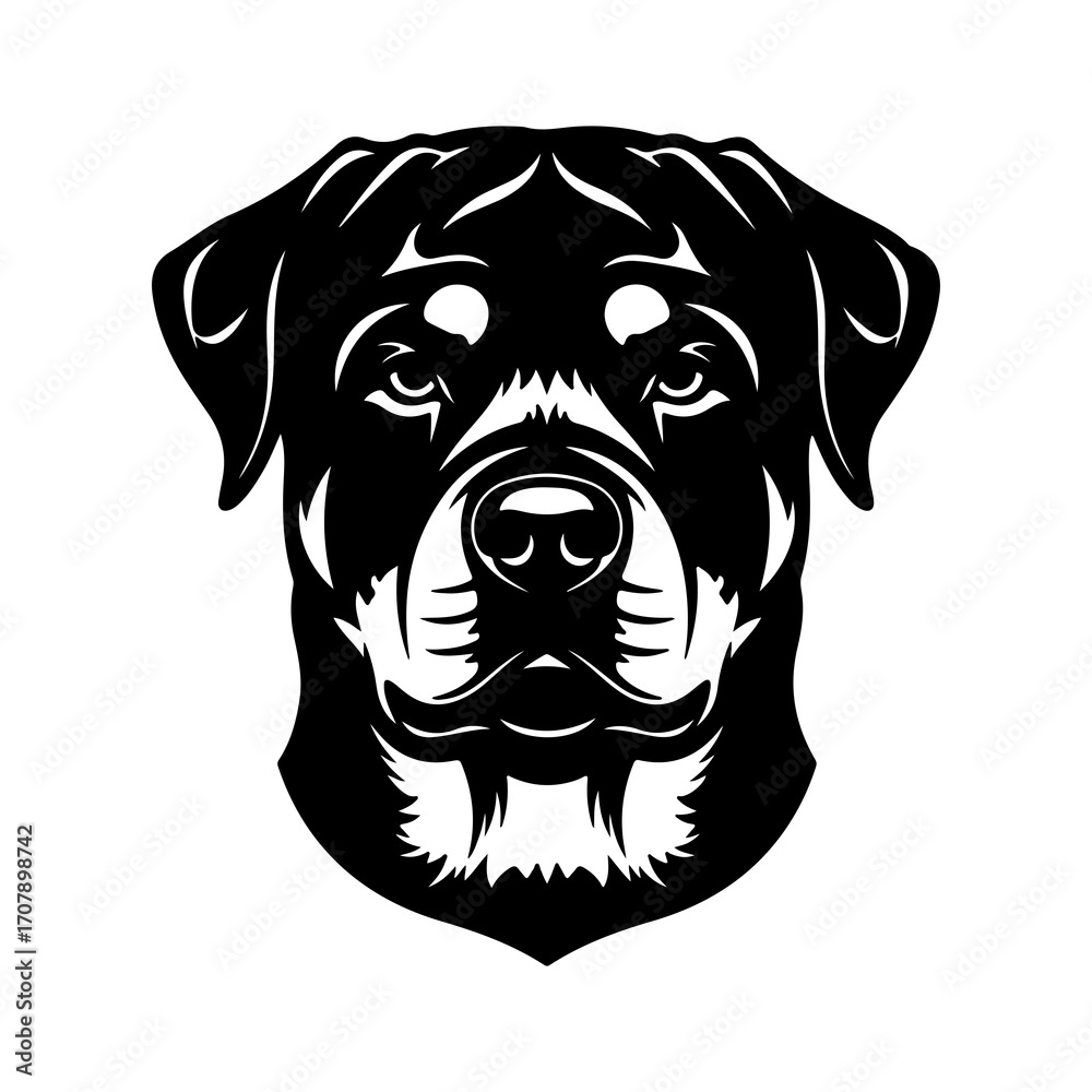 Fototapeta premium Rottweiler head portrait with transparent background