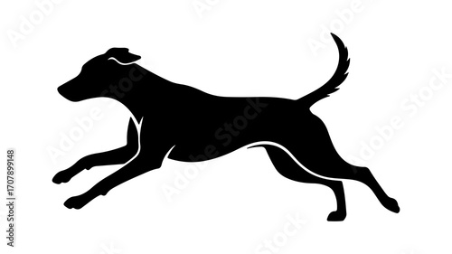 Running dog silhouette with transparent background