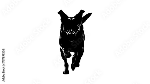 Running labrador silhouette with transparent background