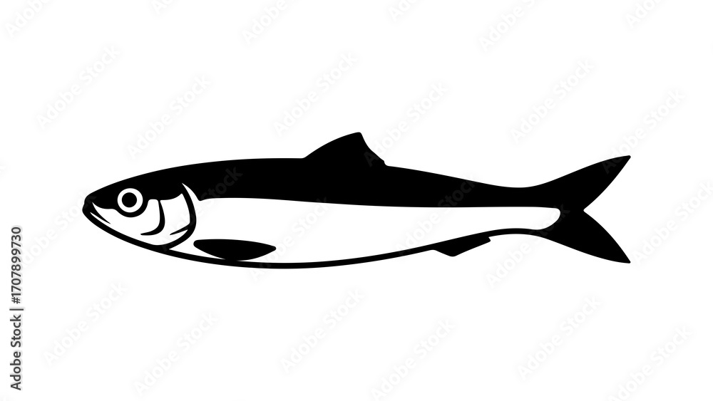 Fototapeta premium Sardine fish with transparent background