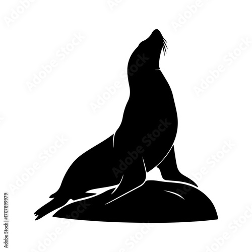 Sea lion silhouette with transparent background