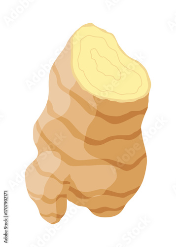 Ginger root. Aromatic herbal spice. Food ingredient, natural herb plant, sliced. Fresh and raw vegetable in cartoon flat style. Vector illustration isolated on white background