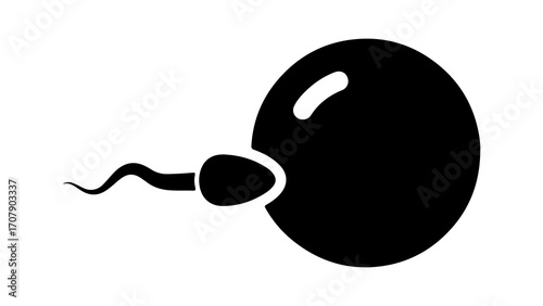 Sperm cell and egg with transparent background