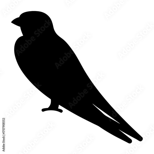 Silhouette of a swallow, an avian species known for its flight ability