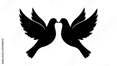 Two doves facing each other with transparent background
