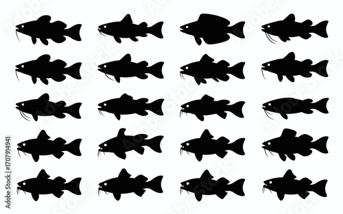 Vector art of silhouettes of various catfish swimming in rows