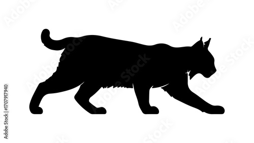 Lynx walking silhouette with transparent background